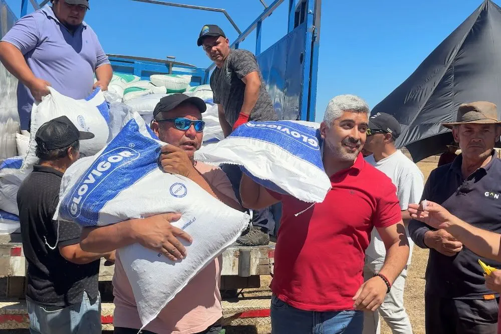Alcalde de Cholchol entrega 20 sacos de alimento animal a 26 familias afectadas por incendios