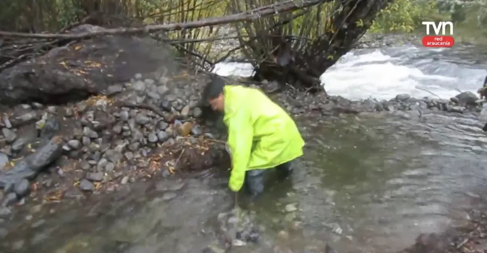 Dique Trafampulli - imagen TVN Red Araucania