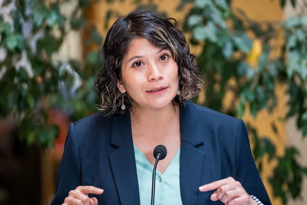 diputada Coca Ñanco