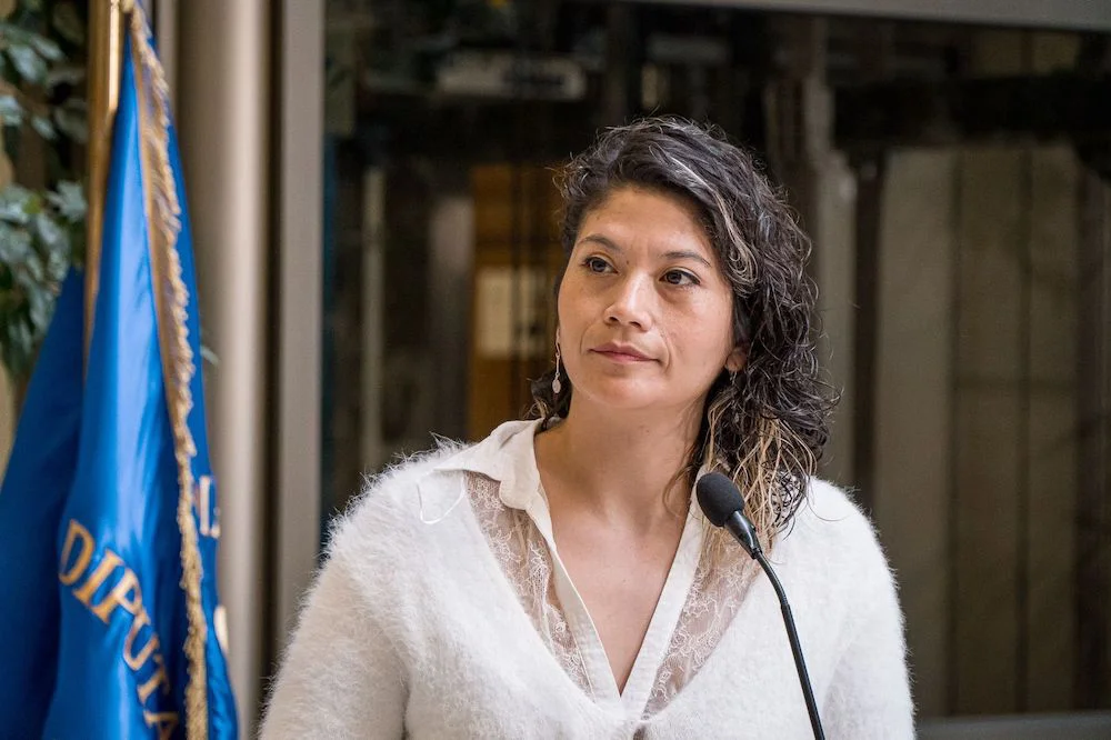 Diputada Coca Ñanco