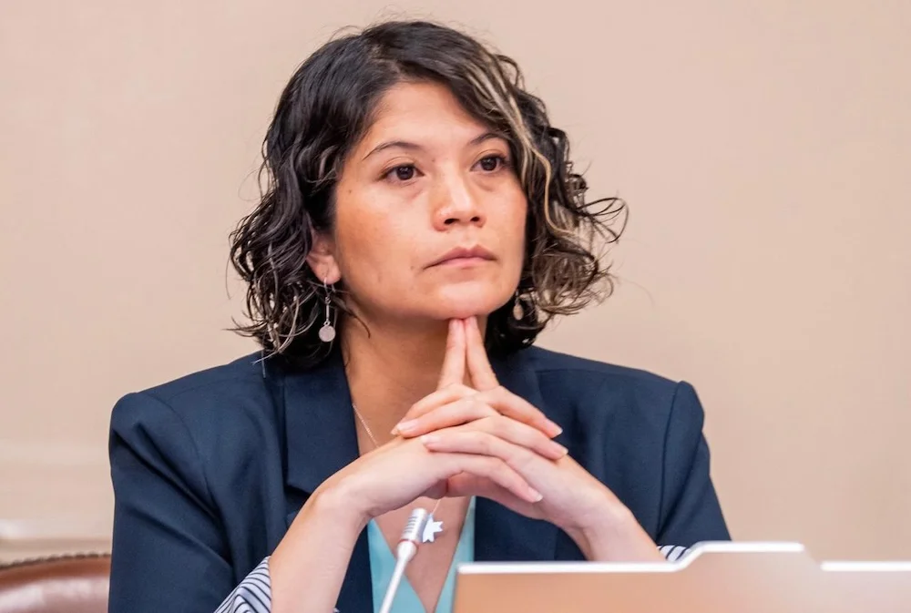 Diputada Ericka Coca Nanco